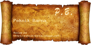 Peknik Barna névjegykártya