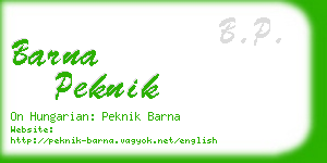 barna peknik business card